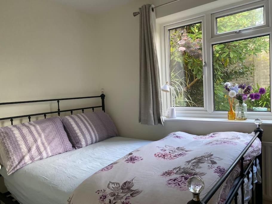 Worplesdon Cosy Apartment With Private Access And Kitchenette In Guildford (Adults Only) מראה חיצוני תמונה